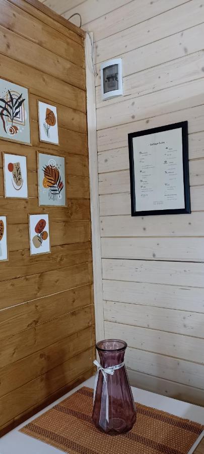 Cottage Toladi Stepancminda Zewnętrze zdjęcie