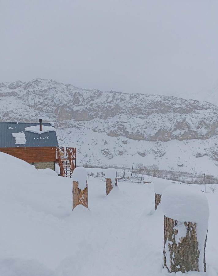Cottage Toladi Stepancminda Zewnętrze zdjęcie