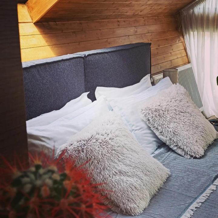 Cottage Toladi Stepancminda Zewnętrze zdjęcie