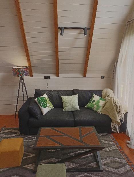 Cottage Toladi Stepancminda Zewnętrze zdjęcie
